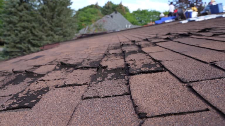 Fast & Reliable Emergency Roof Repairs in Galesburg, MI